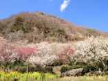 公園・運動施設