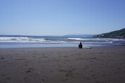 吉浜海岸2