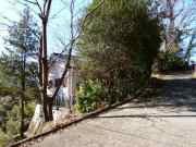 【湯河原 不動産（ 別荘・定住）】自然豊かで別荘向けの土地【土地】