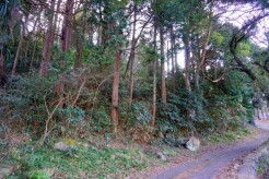 緑溢れる豊かな住環境です！
