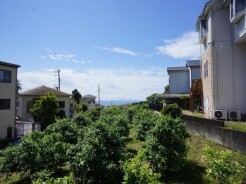 正面に海・大島を望みます