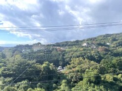 ２階からの眺め