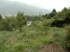 熱海市泉