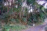 緑溢れる豊かな住環境です！