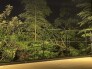 夜のワイドバルコニーから