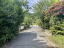 前面道路（南西）