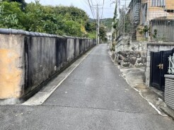 前面道路(西側)